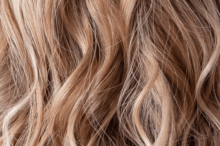 Hair Care - Natu Botanicals