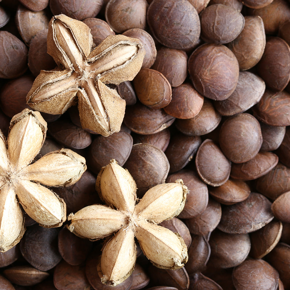 Sacha Inchi Seed Oil