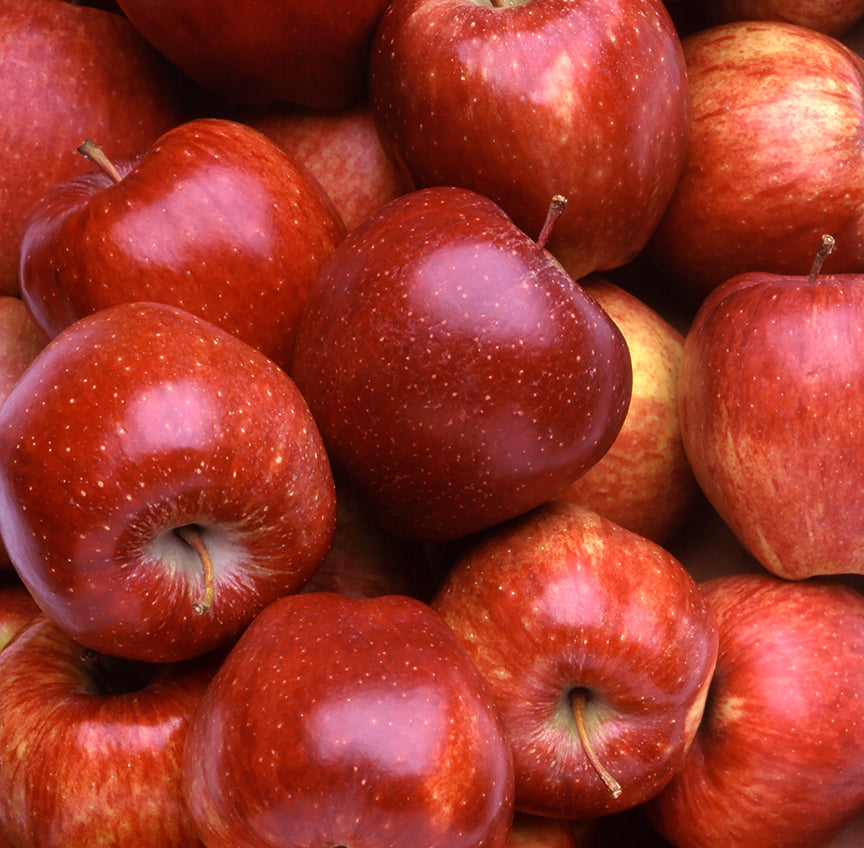Apple Cider Vinegar