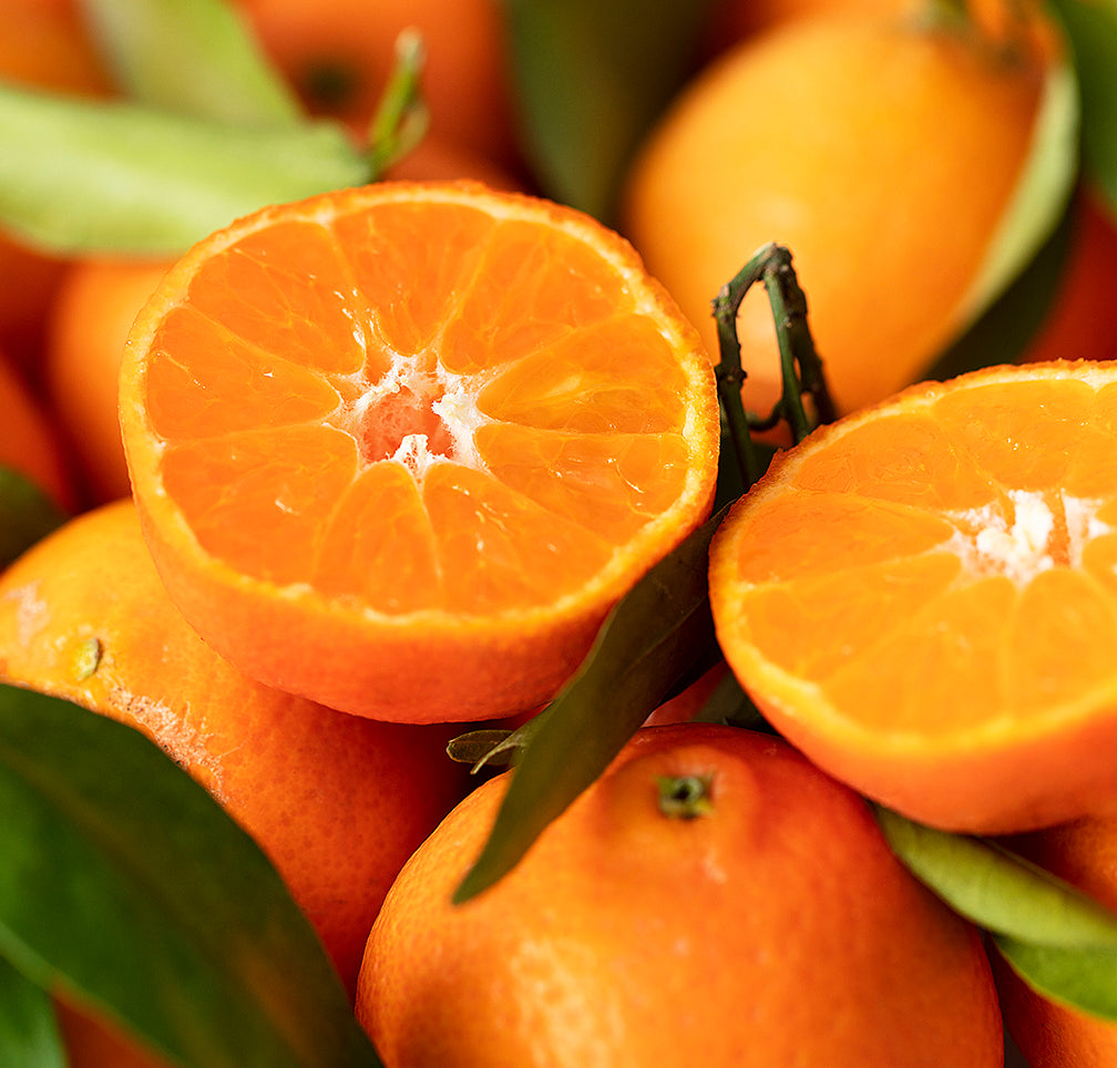 Tangerine Oil