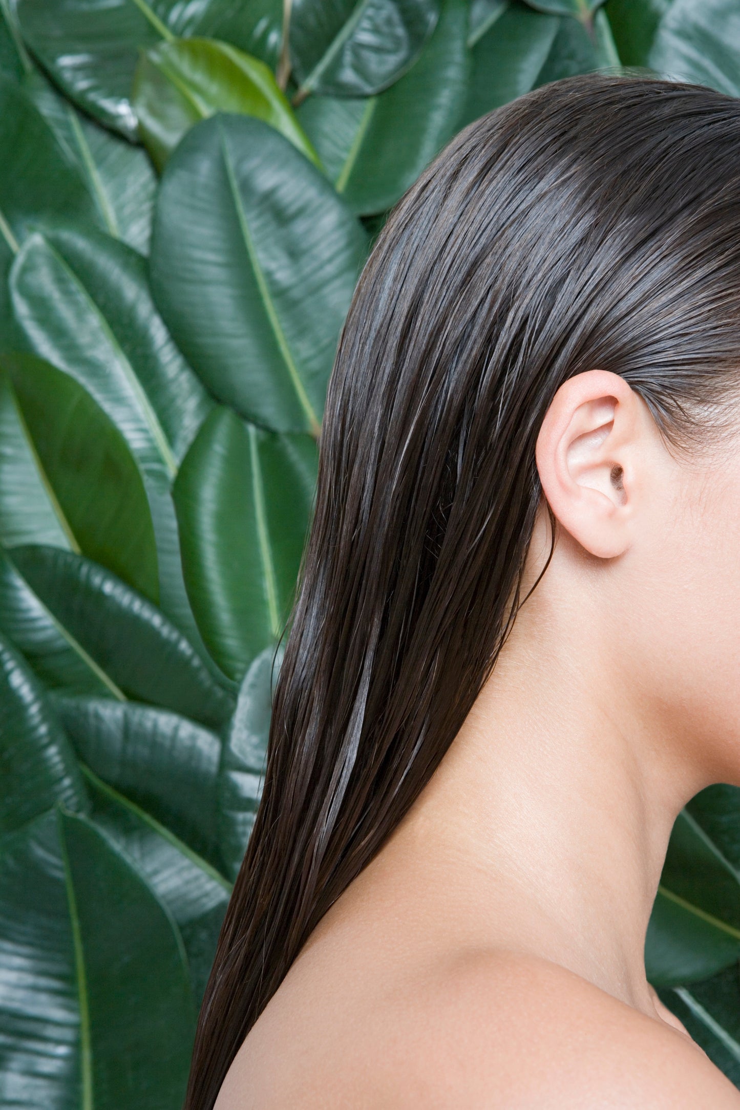 Revitalizing Conditioner Bar – Rosemary & Tea Tree - Natu Botanicals