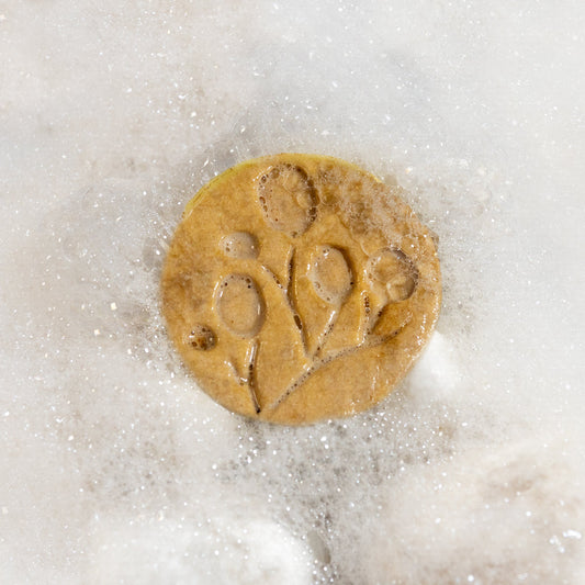 Revitalizing Shampoo Bar – Rosemary & Tea tree - Natu Botanicals