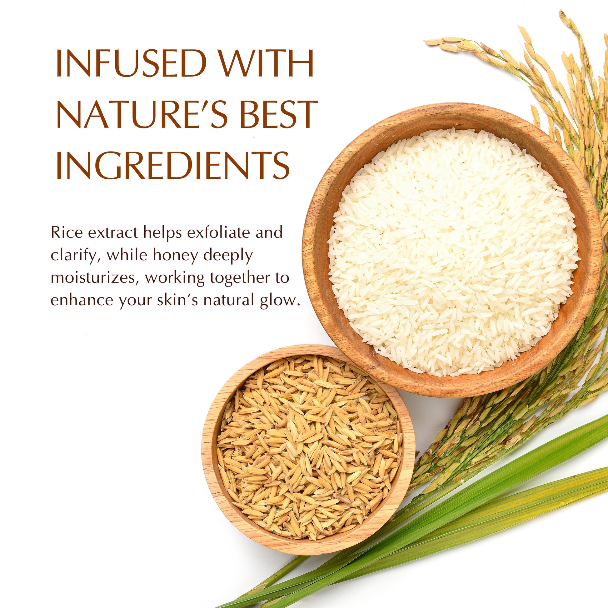 Rice & Honey Facial Cleansing Powder - Natu Botanicals